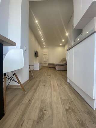 Апартаменты Light Apartment Днепр Апартаменты с 1 спальней-15