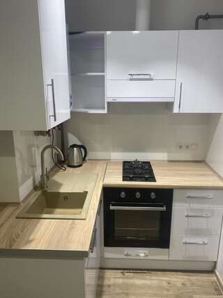 Апартаменты Light Apartment Днепр Апартаменты с 1 спальней-19