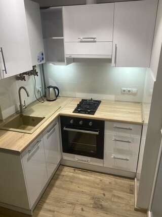 Апартаменты Light Apartment Днепр Апартаменты с 1 спальней-22