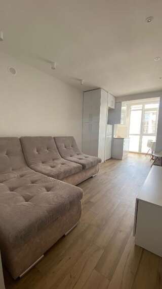 Апартаменты Light Apartment Днепр Апартаменты с 1 спальней-50